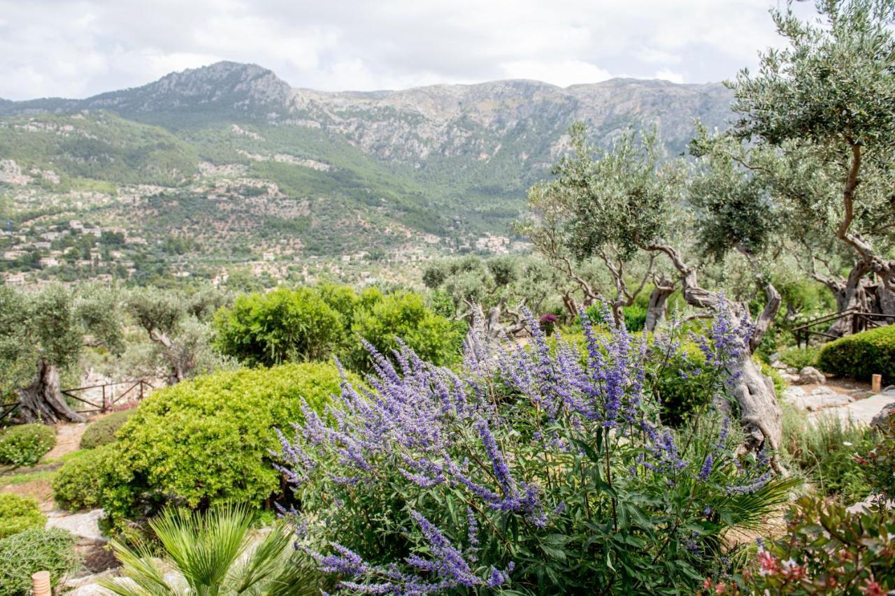 Sa Pedrissa Villa Deià Eksteriør bilde